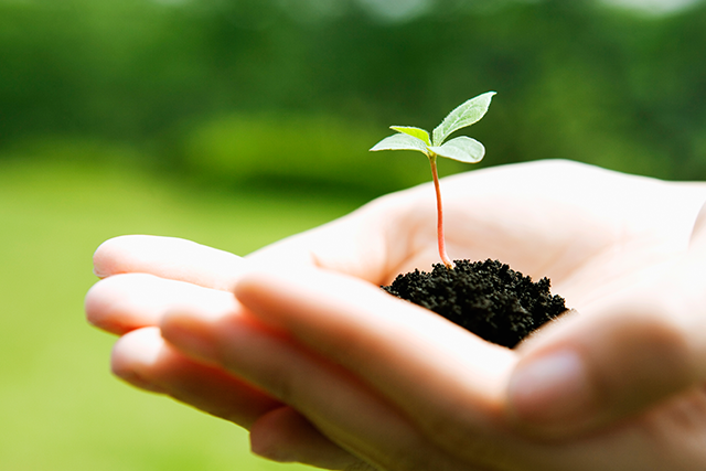 거제시장애인연맹 